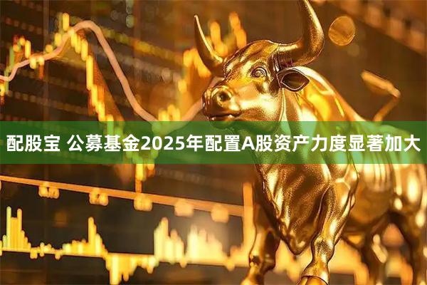 配股宝 公募基金2025年配置A股资产力度显著加大